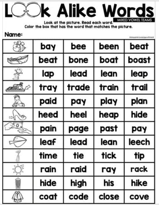 Look Alike Words - Vowel Teams - Image 2